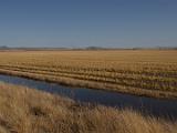 E Lower Klamath NWR 001